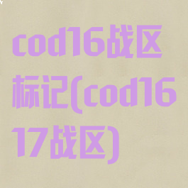 cod16战区标记(cod1617战区)