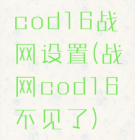 cod16战网设置(战网cod16不见了)