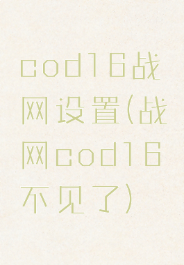 cod16战网设置(战网cod16不见了)