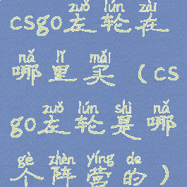 csgo左轮在哪里买(csgo左轮是哪个阵营的)