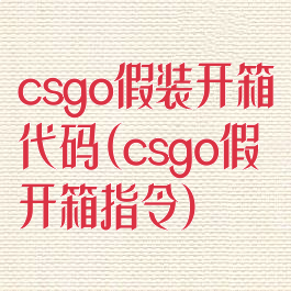 csgo假装开箱代码(csgo假开箱指令)