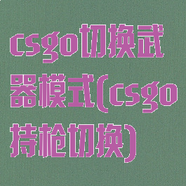 csgo切换武器模式(csgo持枪切换)