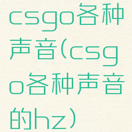 csgo各种声音(csgo各种声音的hz)