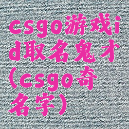csgo游戏id取名鬼才(csgo奇葩名字)