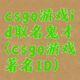 csgo游戏id取名鬼才(csgo游戏著名ID)