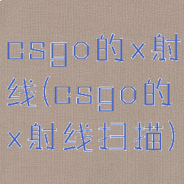 csgo的x射线(csgo的x射线扫描)
