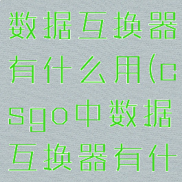 csgo里的数据互换器有什么用(csgo中数据互换器有什么用)