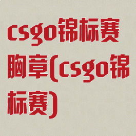 csgo锦标赛胸章(csgo锦标赛)