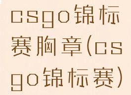 csgo锦标赛胸章(csgo锦标赛)