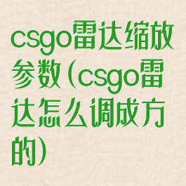 csgo雷达缩放参数(csgo雷达怎么调成方的)