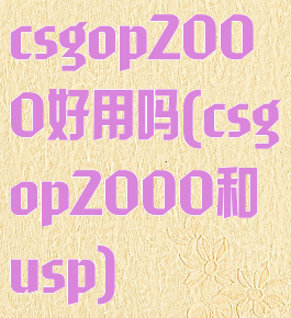csgop2000好用吗(csgop2000和usp)