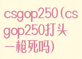 csgop250(csgop250打头一枪死吗)