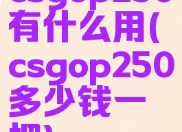 csgop250有什么用(csgop250多少钱一把)