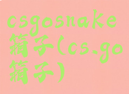 csgosnake箱子(cs.go箱子)