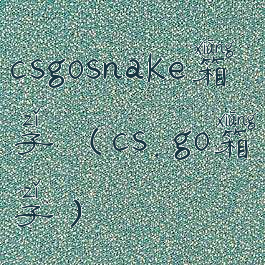 csgosnake箱子(cs.go箱子)
