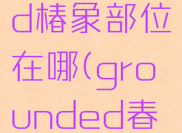 grounded椿象部位在哪(grounded春象)