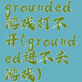grounded游戏打不开(grounded进不去游戏)