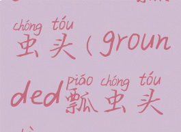 grounded瓢虫头(grounded瓢虫头部)