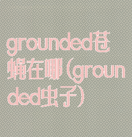 grounded苍蝇在哪(grounded虫子)