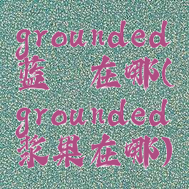 grounded蓝莓在哪(grounded浆果在哪)