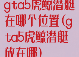 gta5虎鲸潜艇在哪个位置(gta5虎鲸潜艇放在哪)