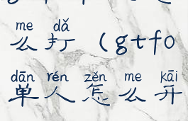 gtfo单人怎么打(gtfo单人怎么开)