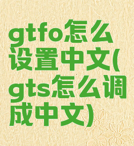 gtfo怎么设置中文(gts怎么调成中文)