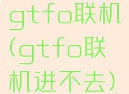 gtfo联机(gtfo联机进不去)