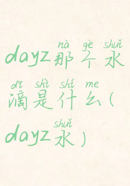 dayz那个水滴是什么(dayz水)