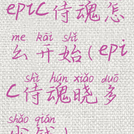 epic侍魂怎么开始(epic侍魂晓多少钱)