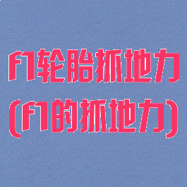 f1轮胎抓地力(f1的抓地力)