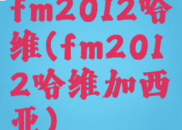 fm2012哈维(fm2012哈维加西亚)