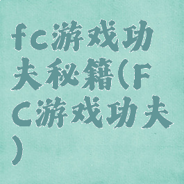 fc游戏功夫秘籍(FC游戏功夫)