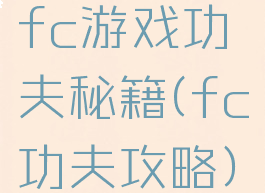 fc游戏功夫秘籍(fc功夫攻略)