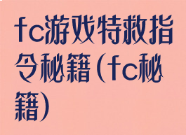 fc游戏特救指令秘籍(fc秘籍)