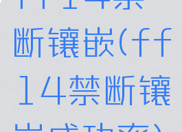 ff14禁断镶嵌(ff14禁断镶嵌成功率)