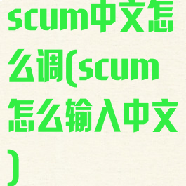 scum中文怎么调(scum怎么输入中文)