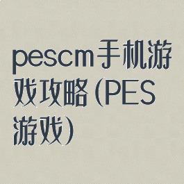 pescm手机游戏攻略(PES游戏)