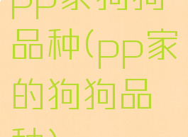 pp家狗狗品种(pp家的狗狗品种)