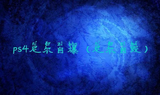 ps4尼尔自爆(尼尔自毁)