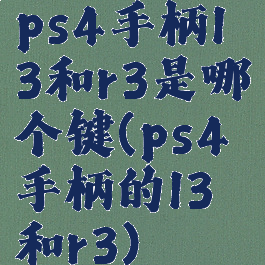 ps4手柄l3和r3是哪个键(ps4手柄的l3和r3)