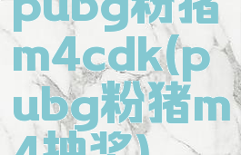 pubg粉猪m4cdk(pubg粉猪m4抽奖)