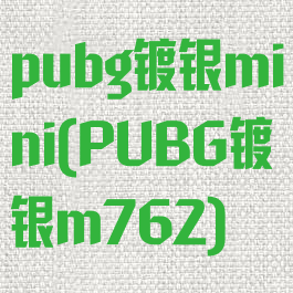 pubg镀银mini(PUBG镀银m762)