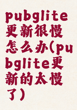 pubglite更新很慢怎么办(pubglite更新的太慢了)