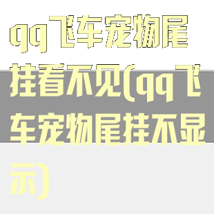 qq飞车宠物尾挂看不见(qq飞车宠物尾挂不显示)