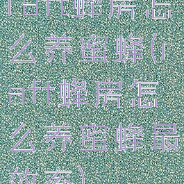 raft蜂房怎么养蜜蜂(raft蜂房怎么养蜜蜂最效率)