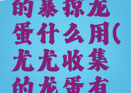 wow金色的暴掠龙蛋什么用(尤尤收集的龙蛋有什么用)