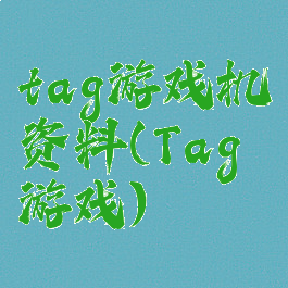 tag游戏机资料(Tag游戏)