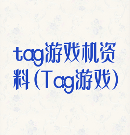 tag游戏机资料(Tag游戏)